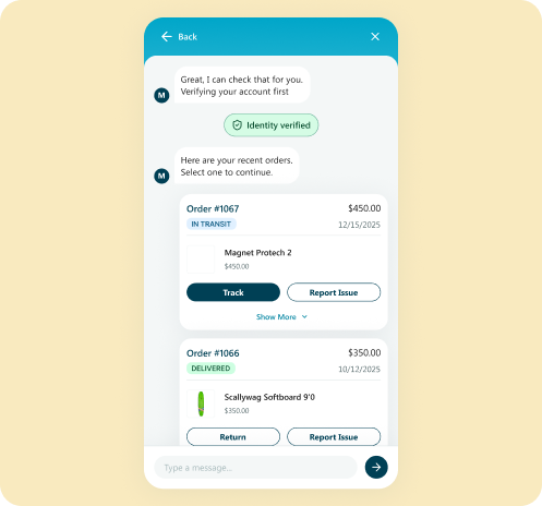 Order tracking, straight from the chat widget